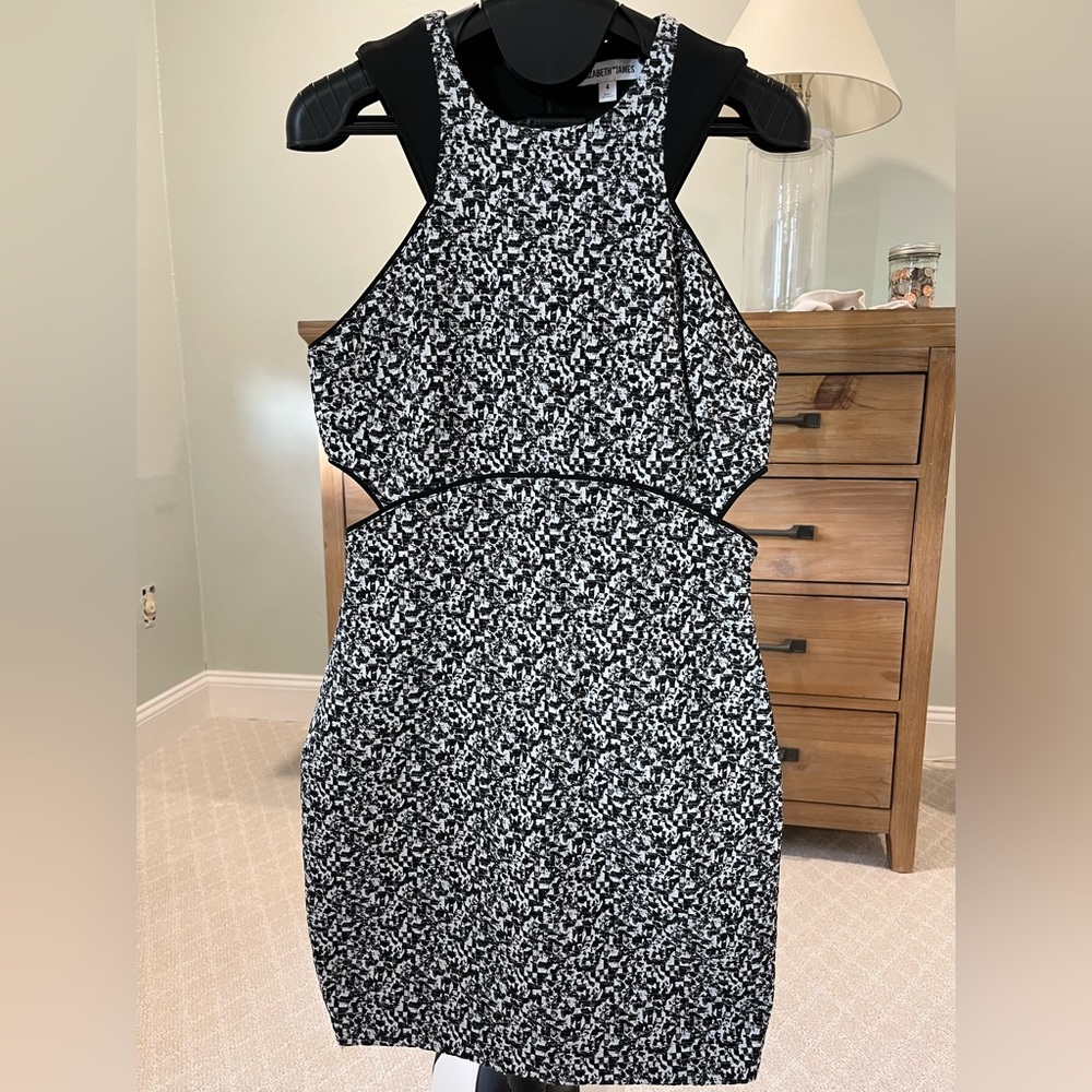 Elizabeth & James Cut Out Dress